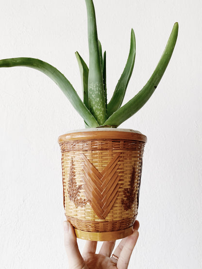 Vintage Lined Plant Basket