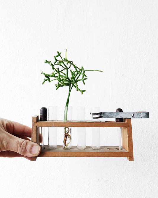 Vintage Test Tube Display