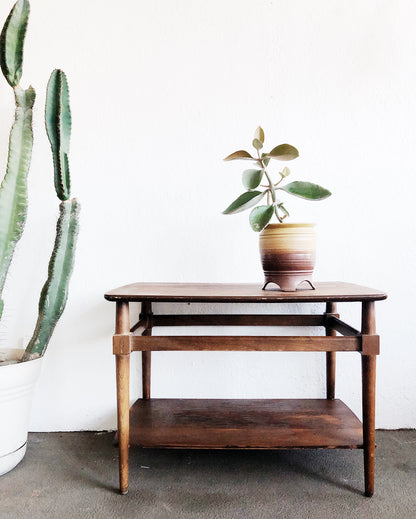 Large Kalanchoe Plant Potted in Vintage
