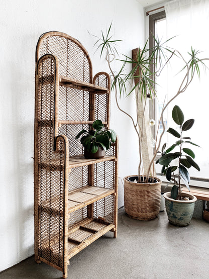 Vintage Wicker Shelf