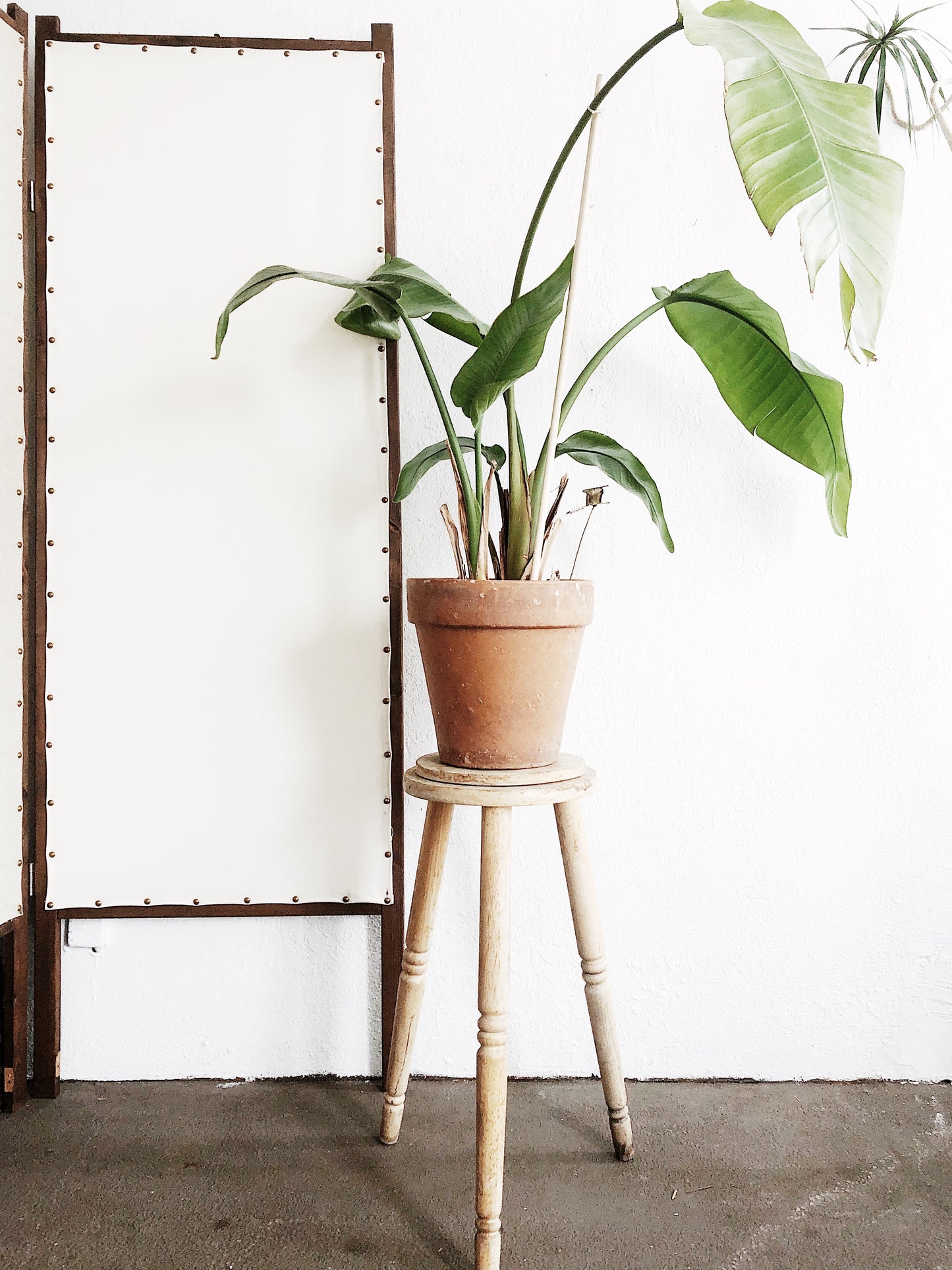 Vintage Swivel Plant Stand