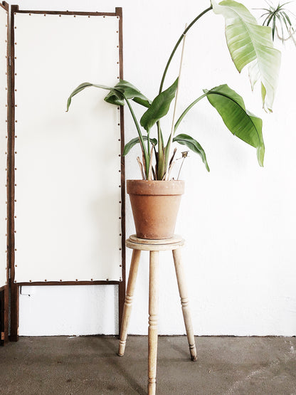 Vintage Swivel Plant Stand