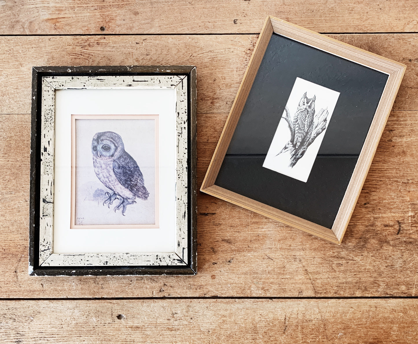 Vintage Framed Owl Print