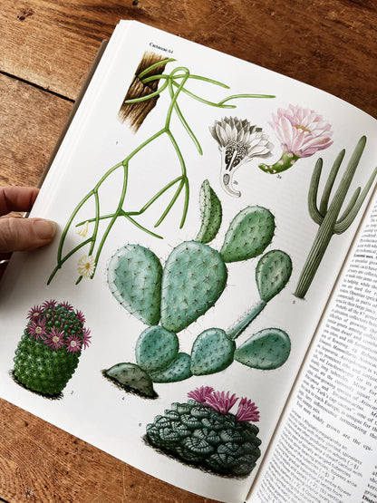 Flowering Plants of the World 1977