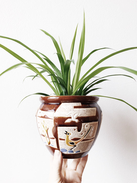 Stunning Vintage Cache Pot Planter