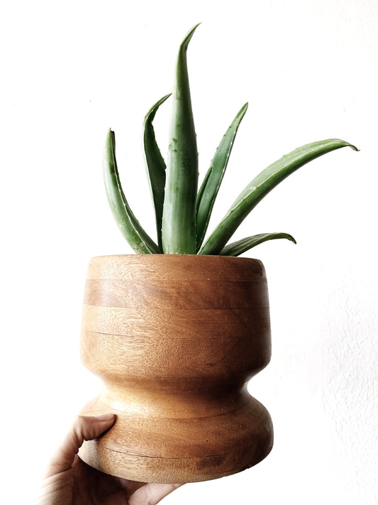 Vintage Turned Wood Bowl or Planter