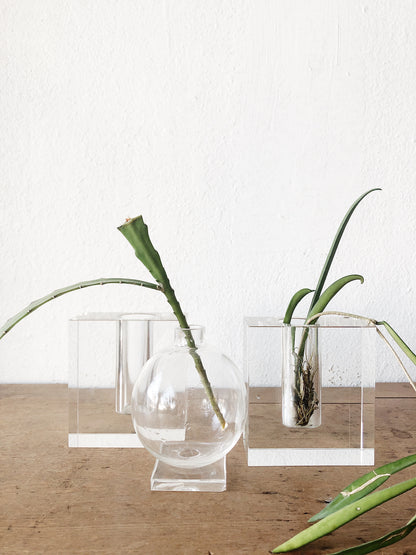 Modern Glass Propagation Vase