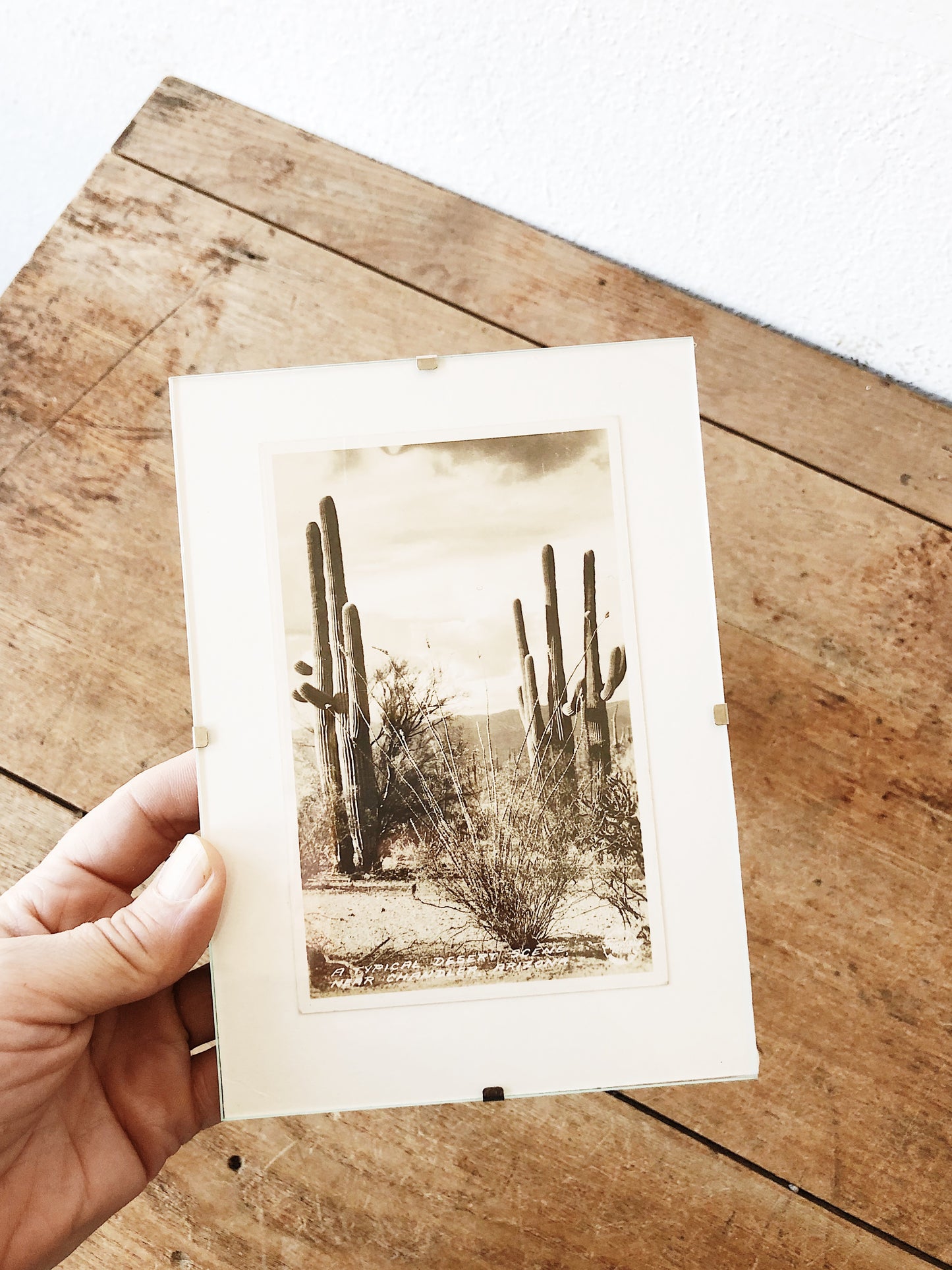 Antique Framed Desert Postcard