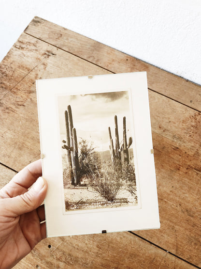 Antique Framed Desert Postcard