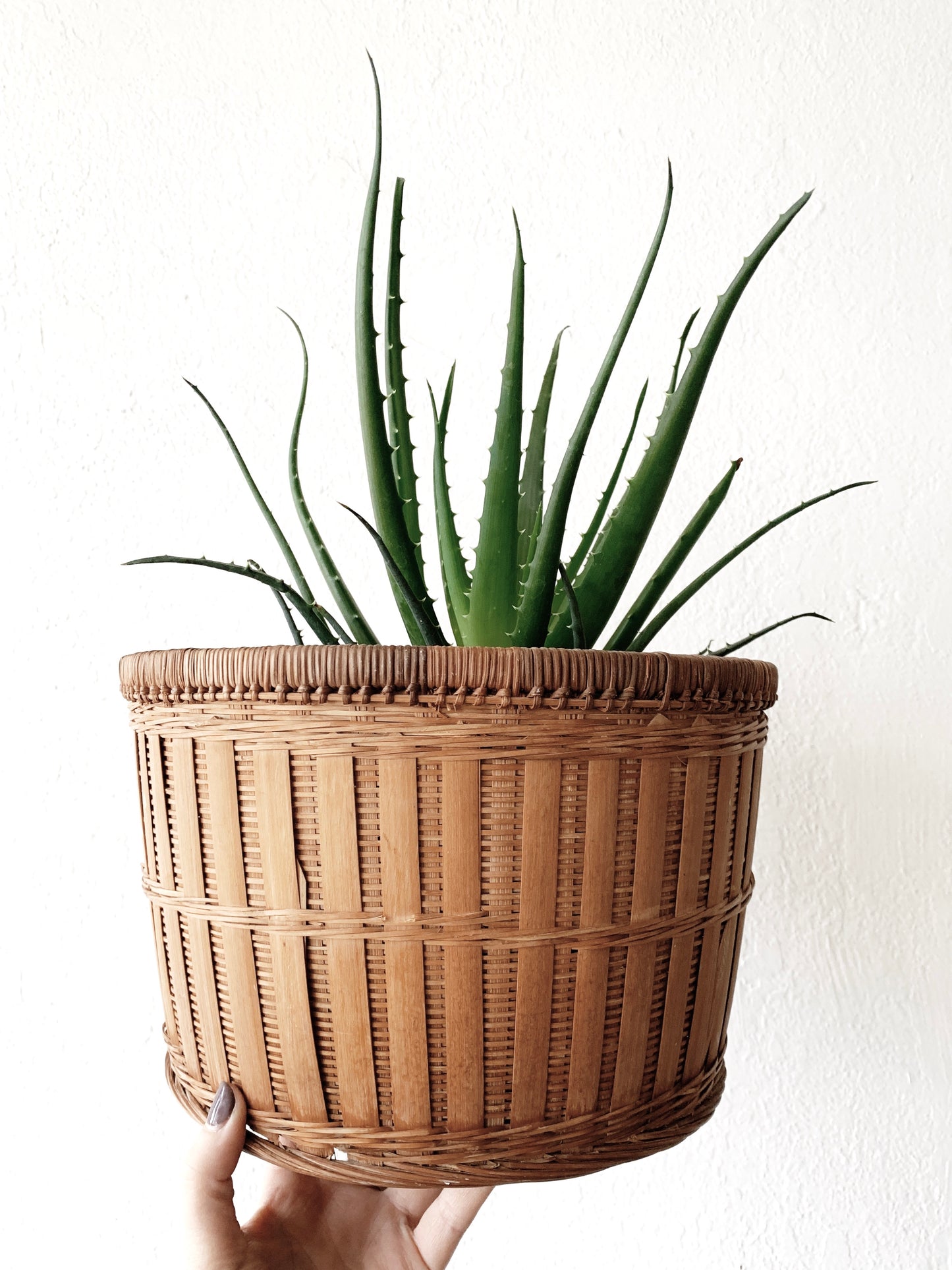 Vintage Drum Shaped Basket