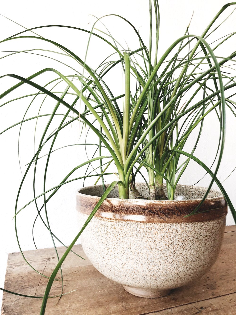 Extra Large Footed Ceramic Bowl