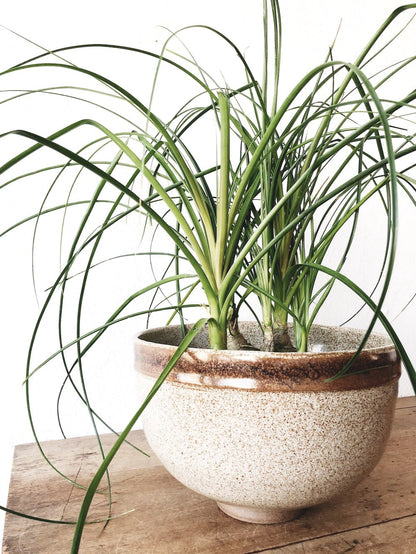 Extra Large Footed Ceramic Bowl