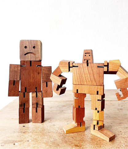 Cubebot Puzzle