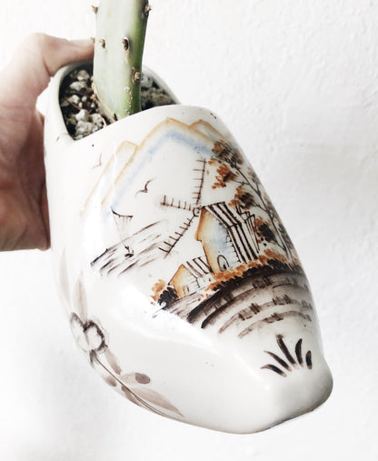 Potted Succulents in Vintage