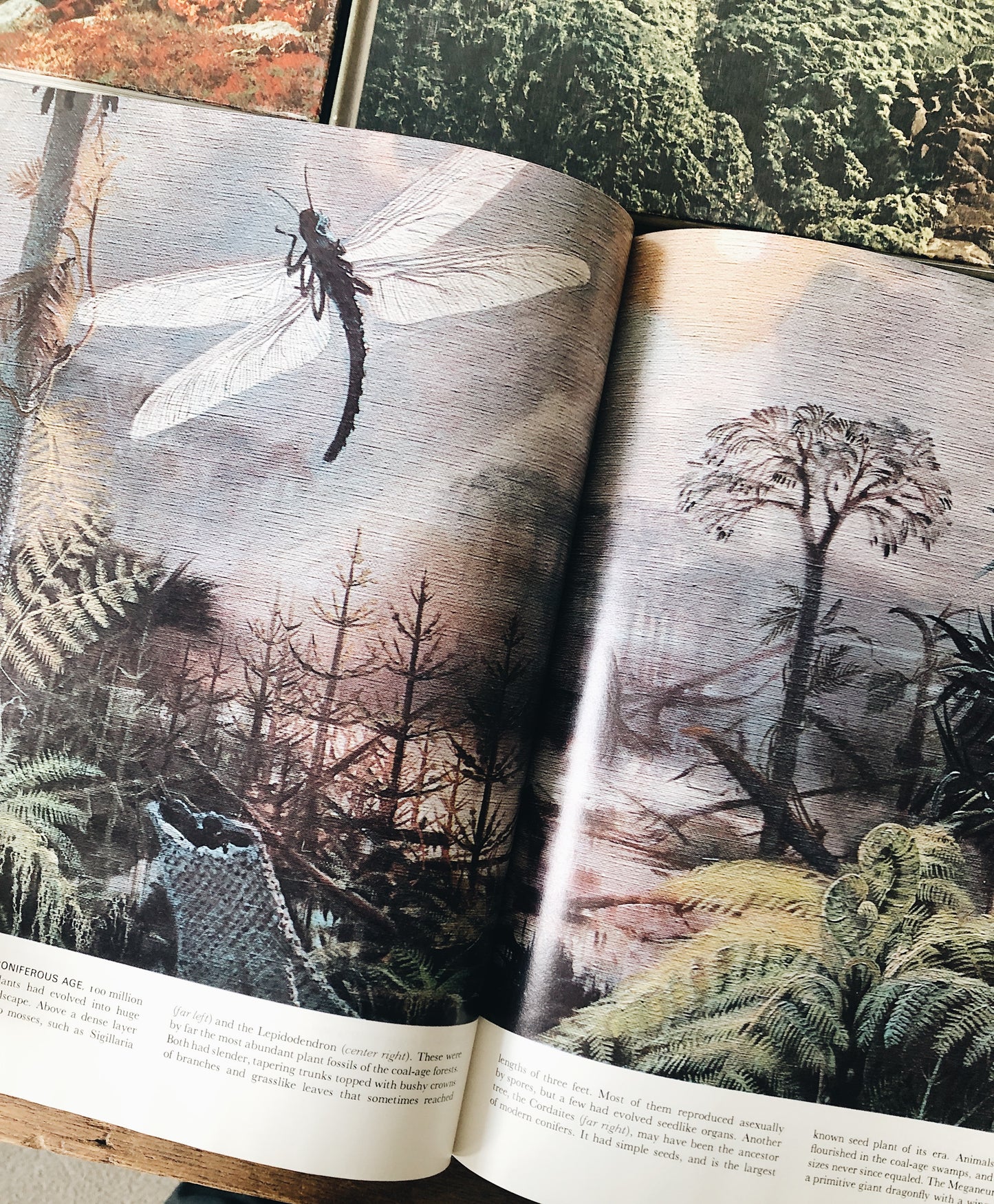 Vintage Natural History Book Collection
