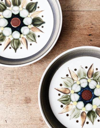 Pair of Mid Century English Plates