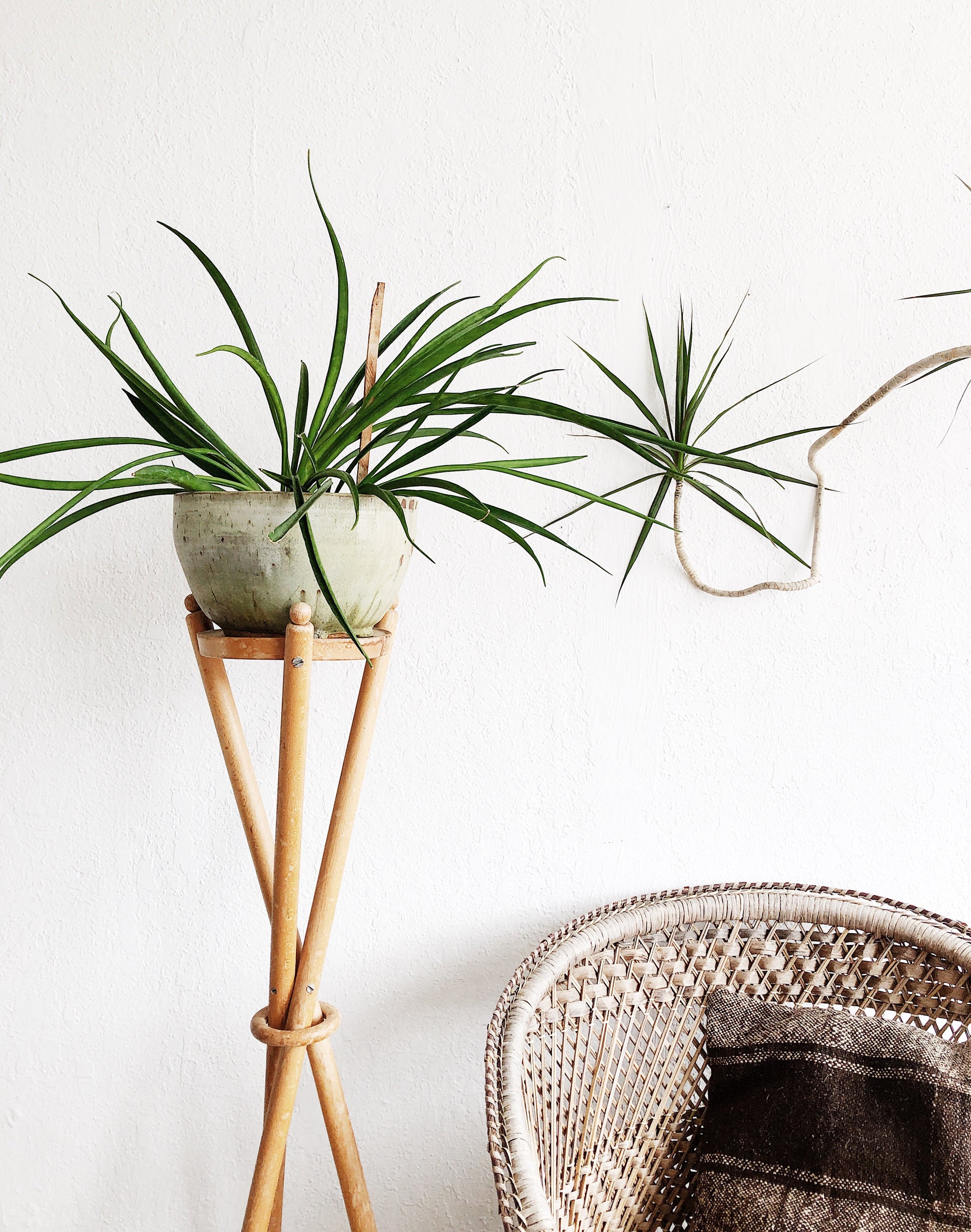 tripod plant hanger Vintage Tripod Plant Stand – Maven Collective
