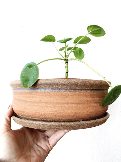Vintage Shallow Tray Pot