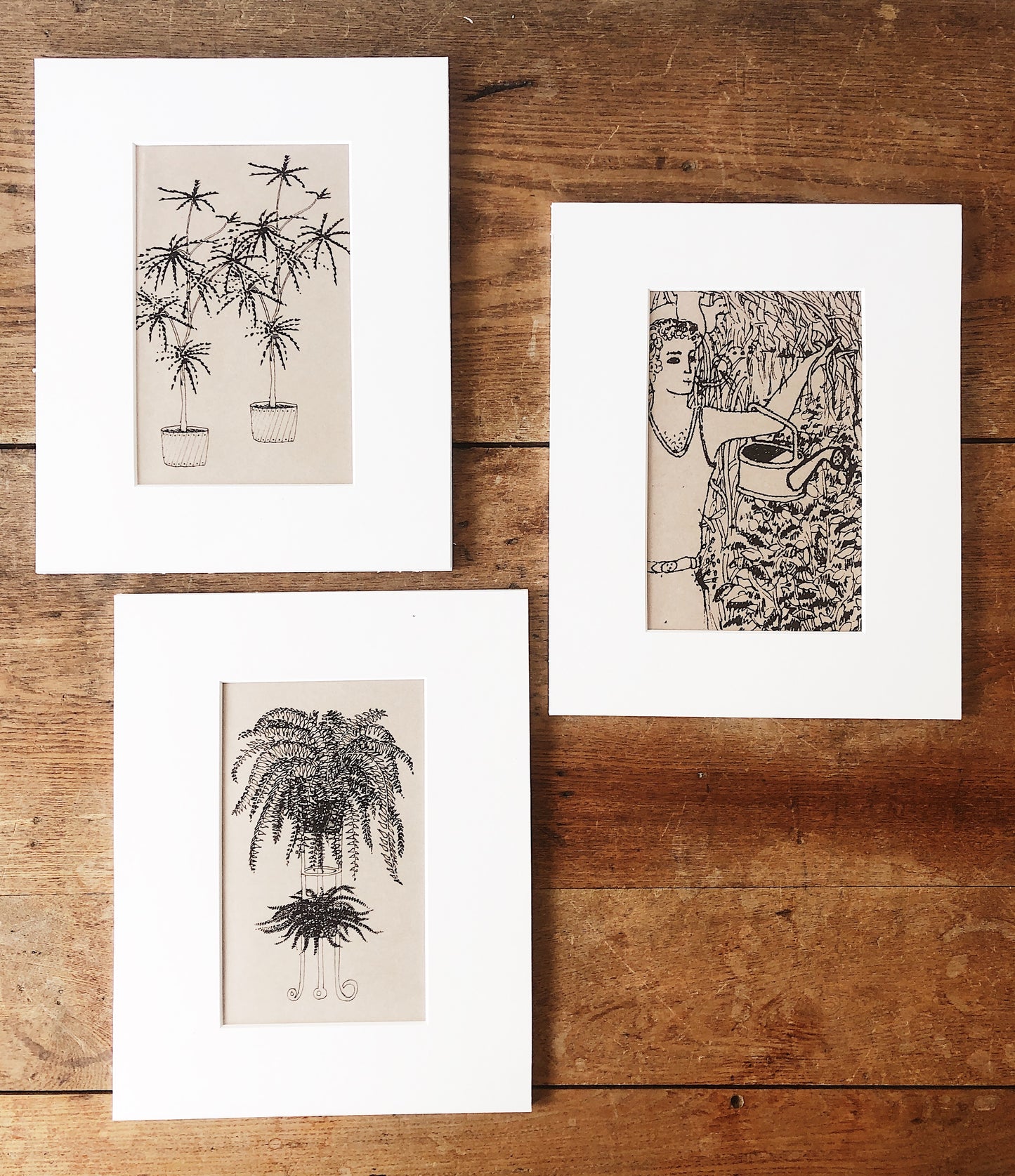 Vintage Win Ng Illustration