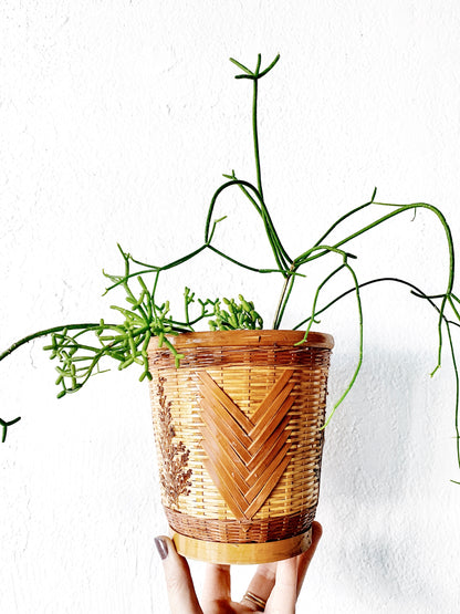 Vintage Lined Plant Basket