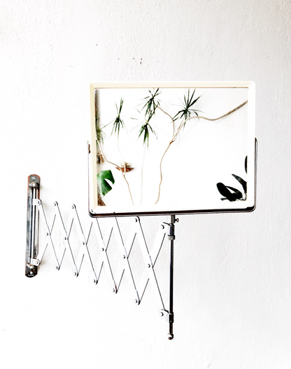 Vintage Telescoping Mirror