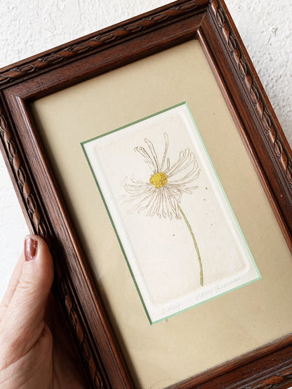 Vintage Framed Daisy Etching