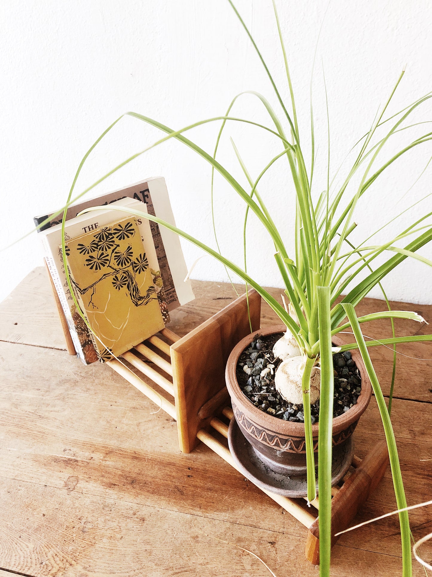 Vintage Expanding Book Rack or Shelf