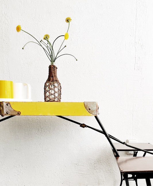 Vintage Folding Picnic Table