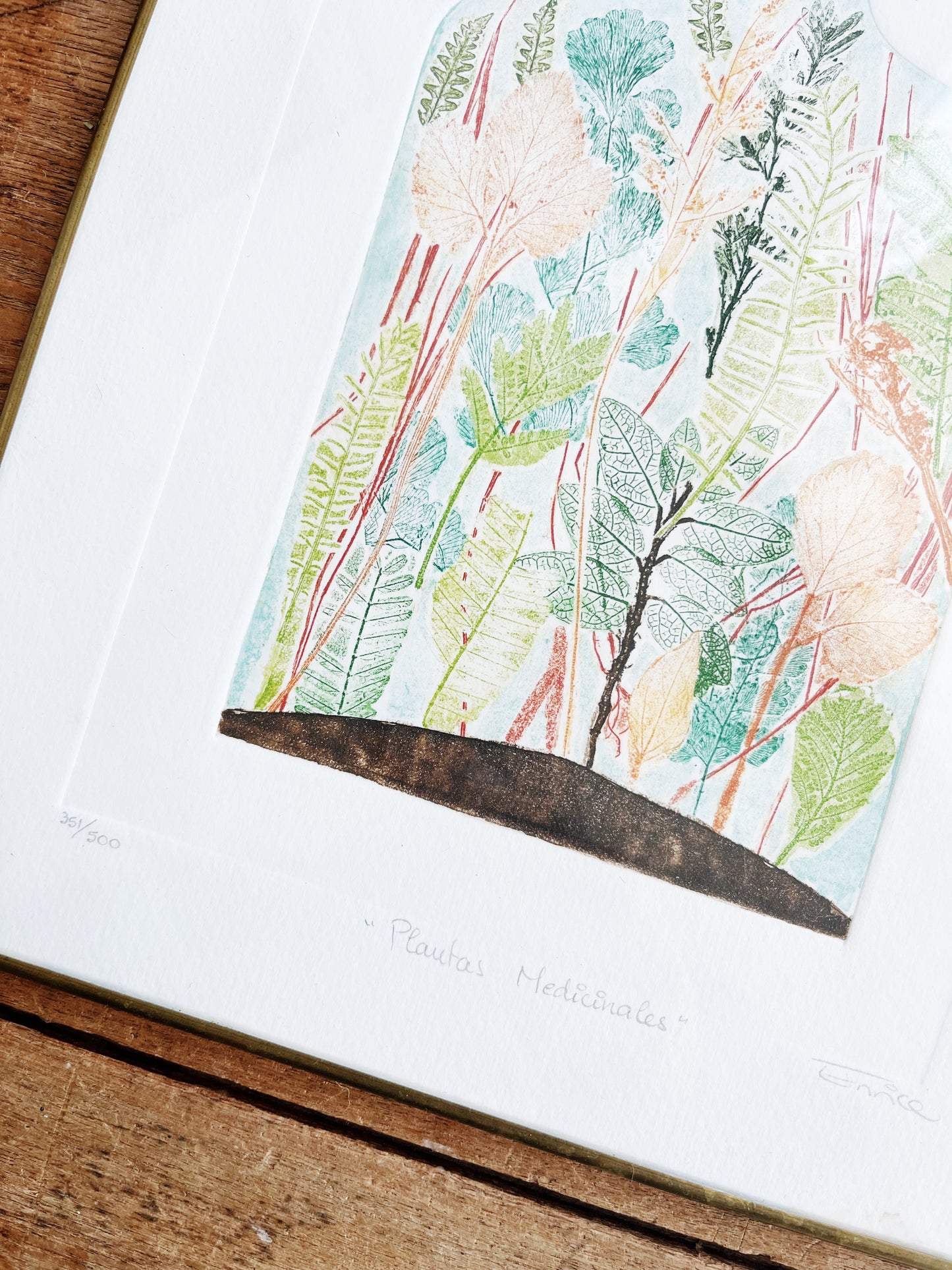 Original Framed Etching