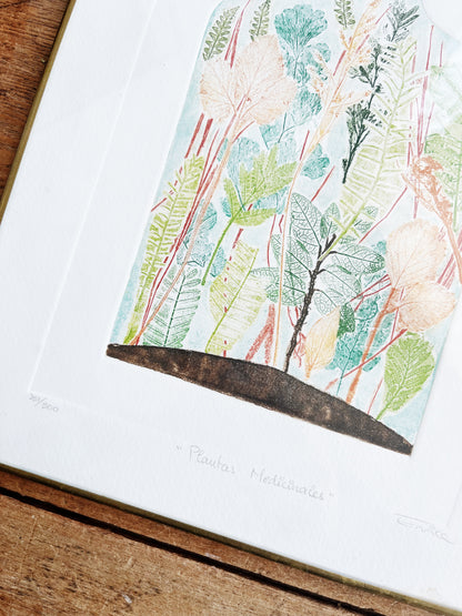 Original Framed Etching