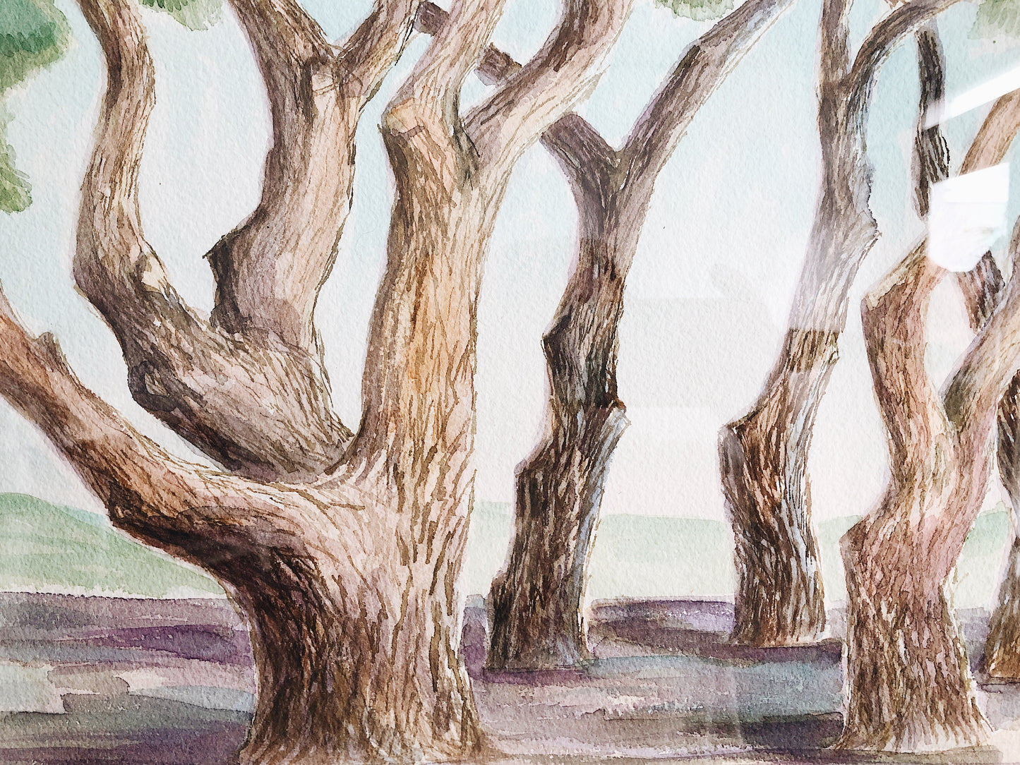 Vintage Tree Grove Landscape Painting