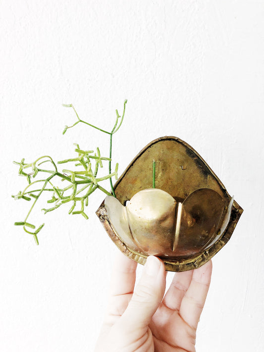 Set of Two Petite Wall Planters