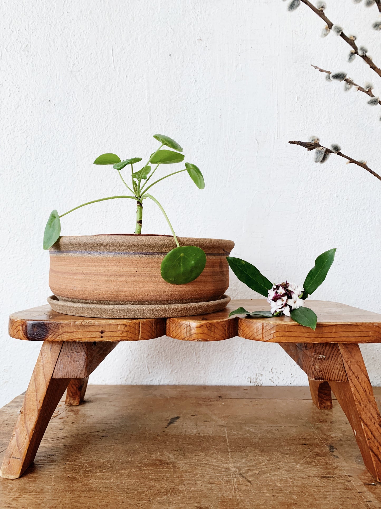 Vintage Shallow Tray Pot