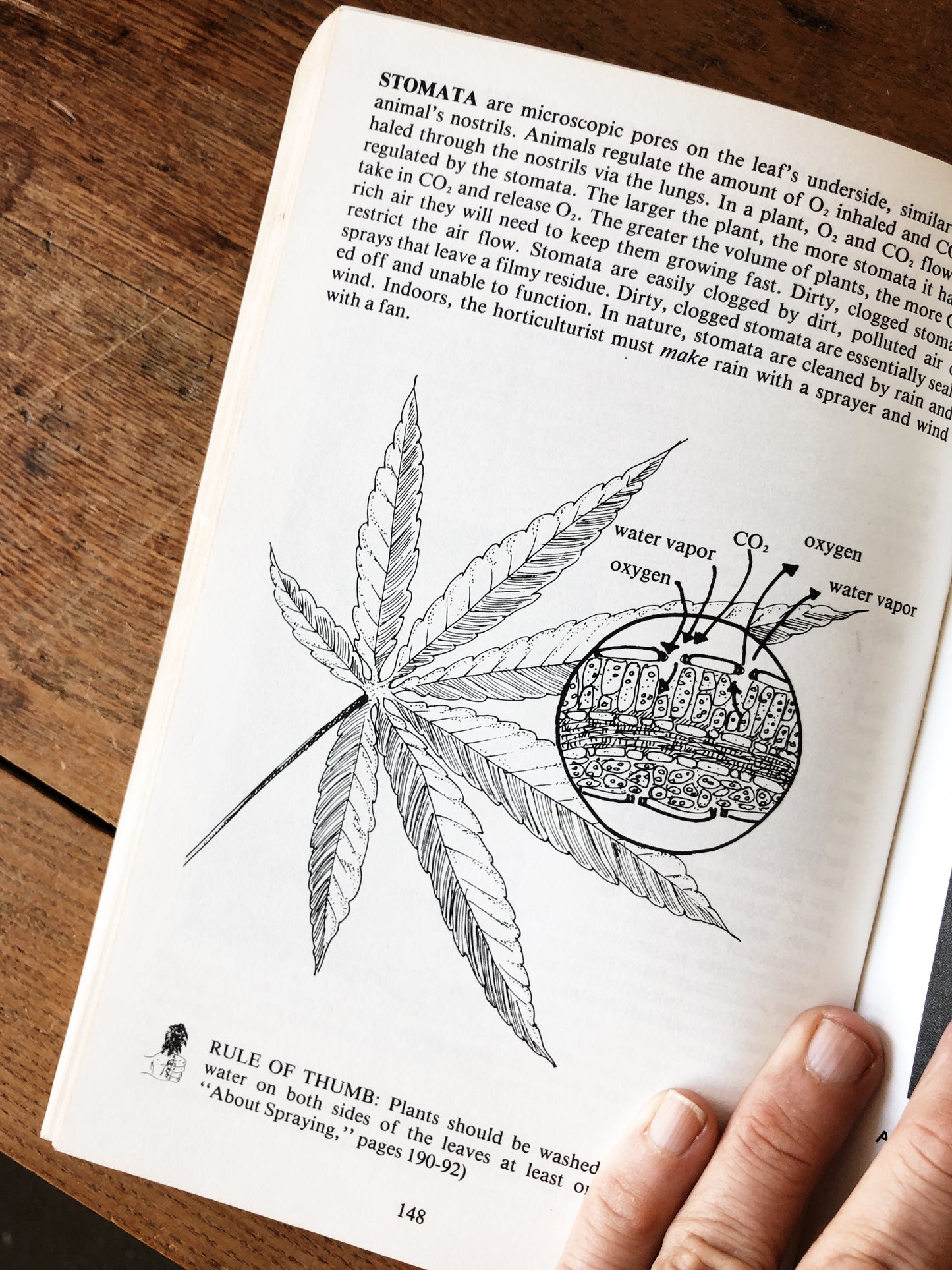 Vintage Marijuana Horticulture Book