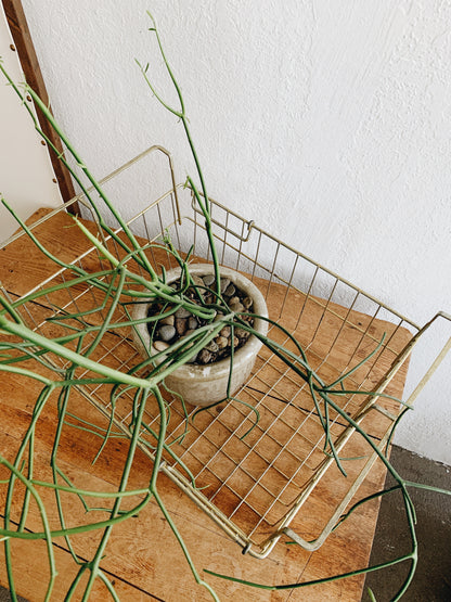 Vintage Metal Wire Basket