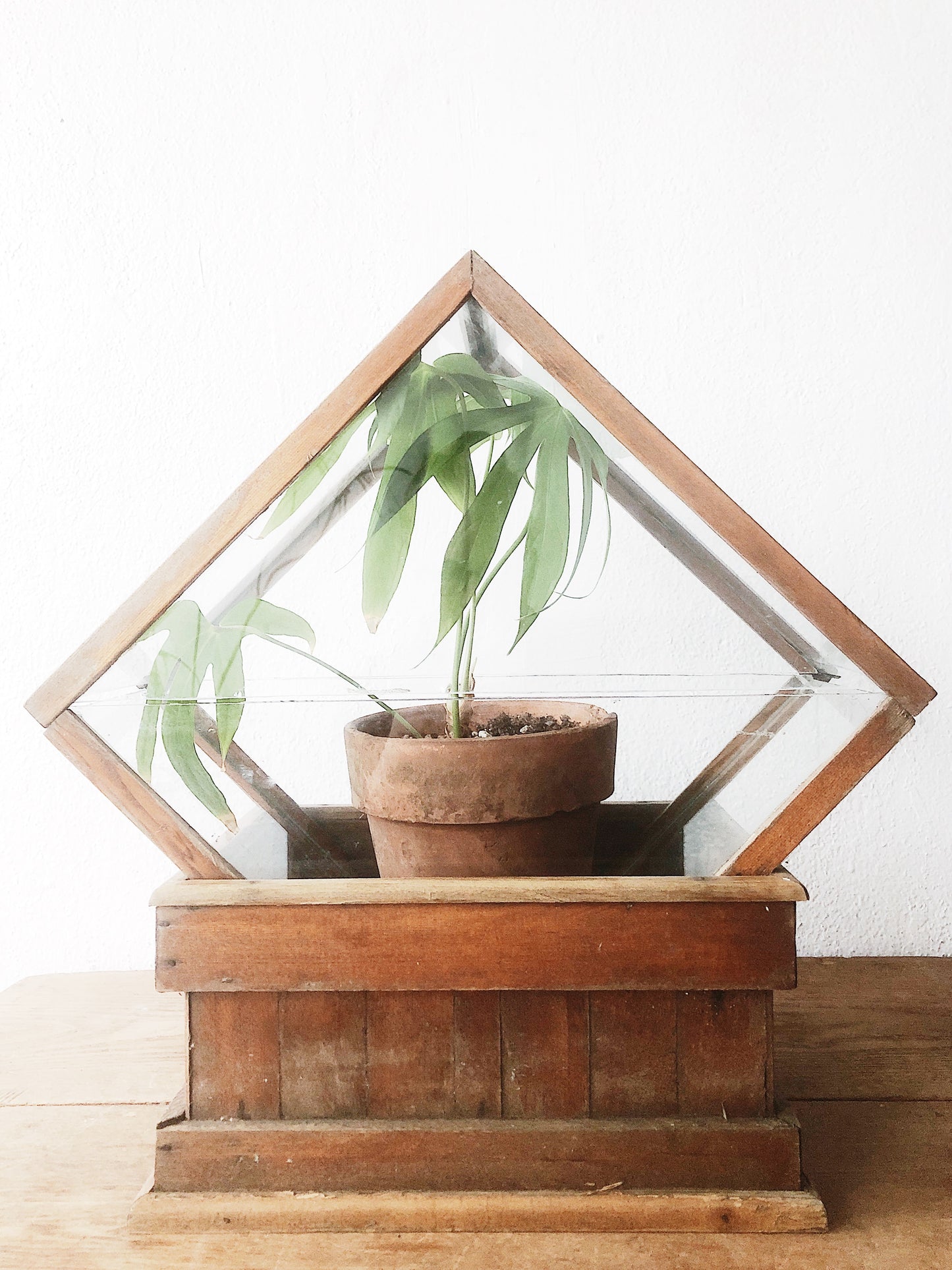 Vintage Geometric Terrarium