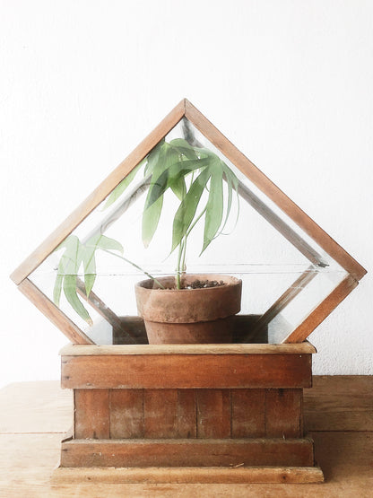 Vintage Geometric Terrarium