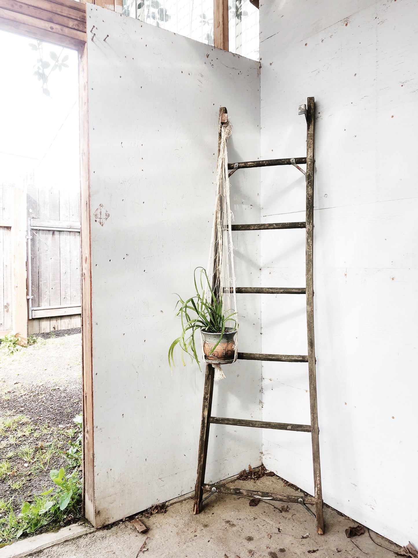 Vintage Industrial Orchard Ladder