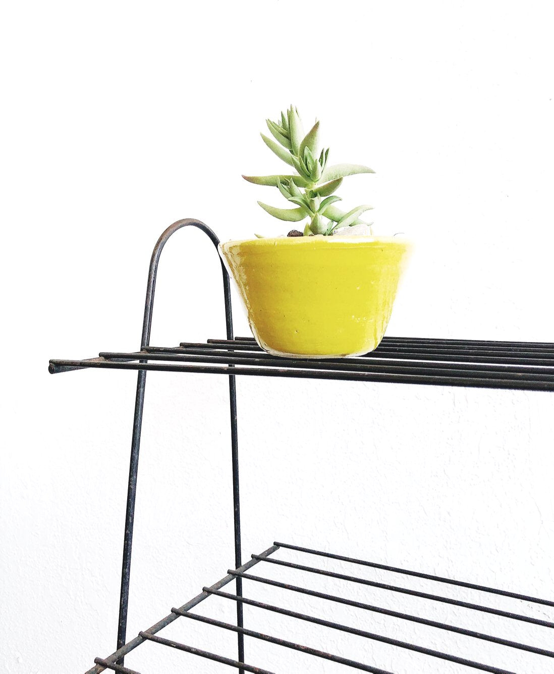 Mid Century Plant Stand