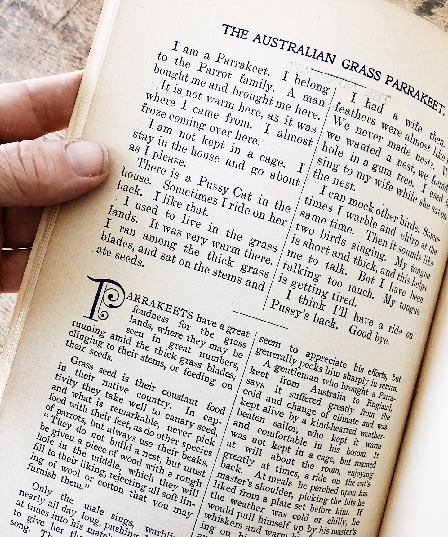 Antique 1800s Birds Book