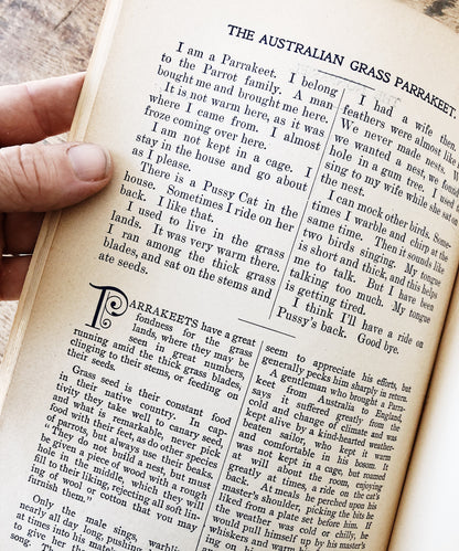 Antique 1800s Birds Book