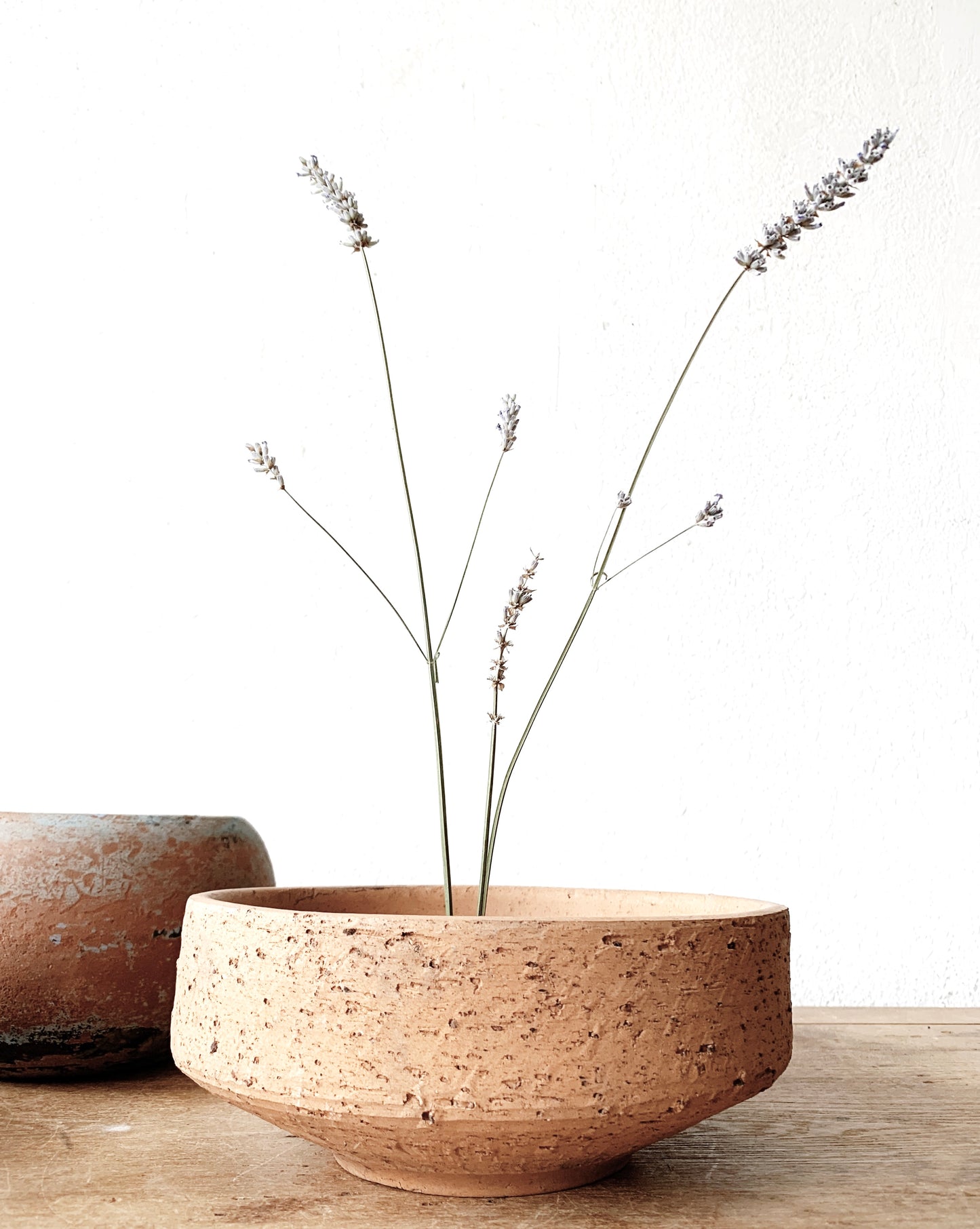 Vintage Shallow Terra Cotta Pot
