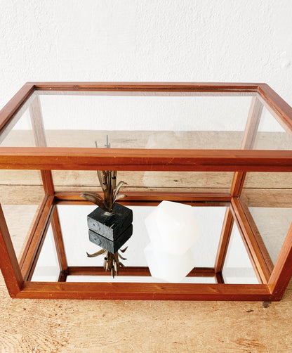 Wood and Glass Terrarium With Vintage Book