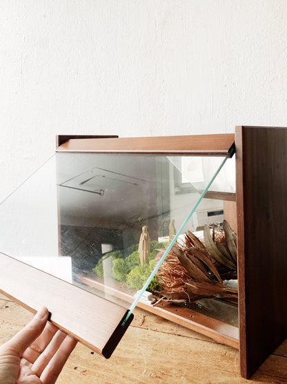 Vintage Mirrored Display Case