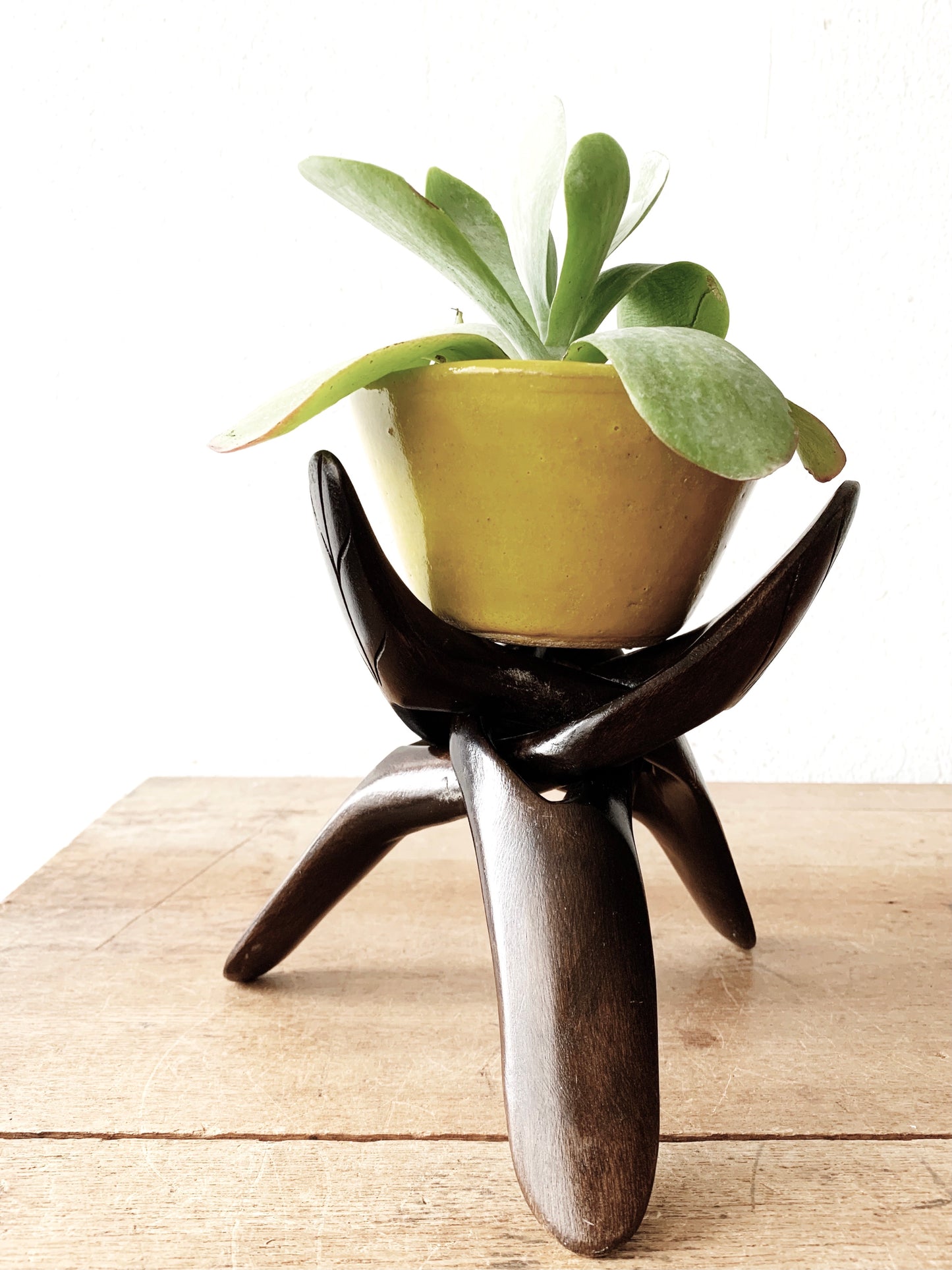 Vintage Collapsible Wood Stand with Pot