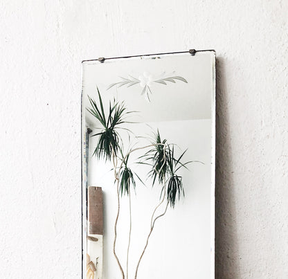 Vintage Oblong Mirror