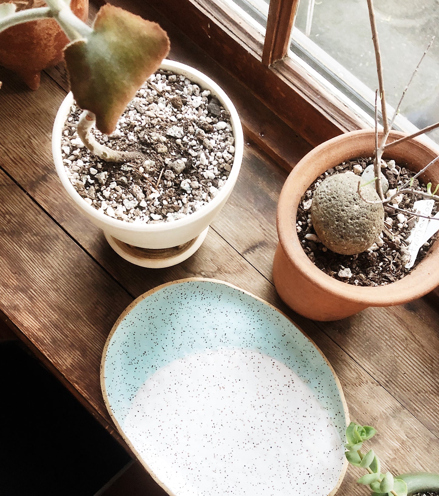 Handmade Freeform Ceramic Platter