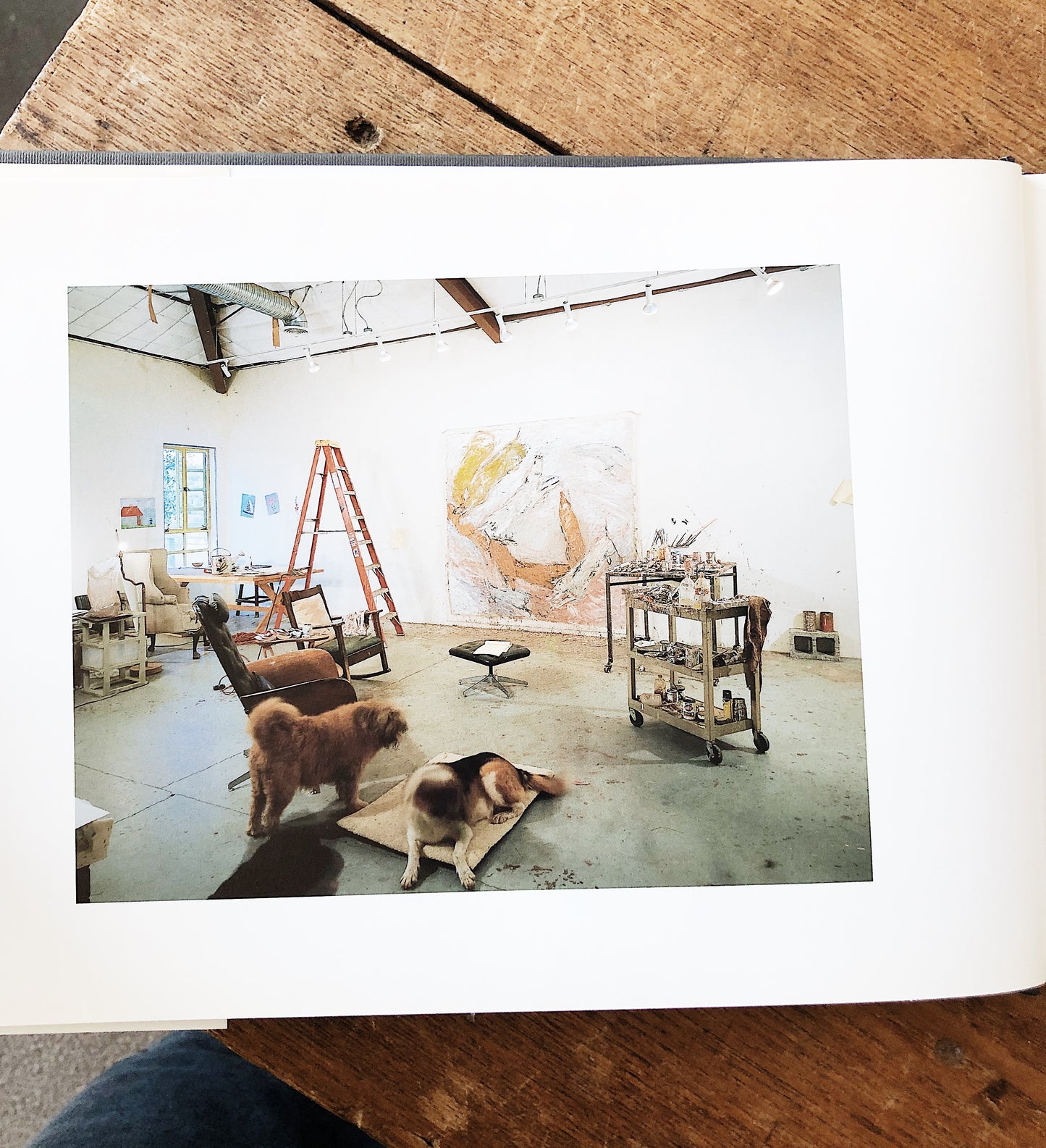 Vintage Rothenberg Art Books