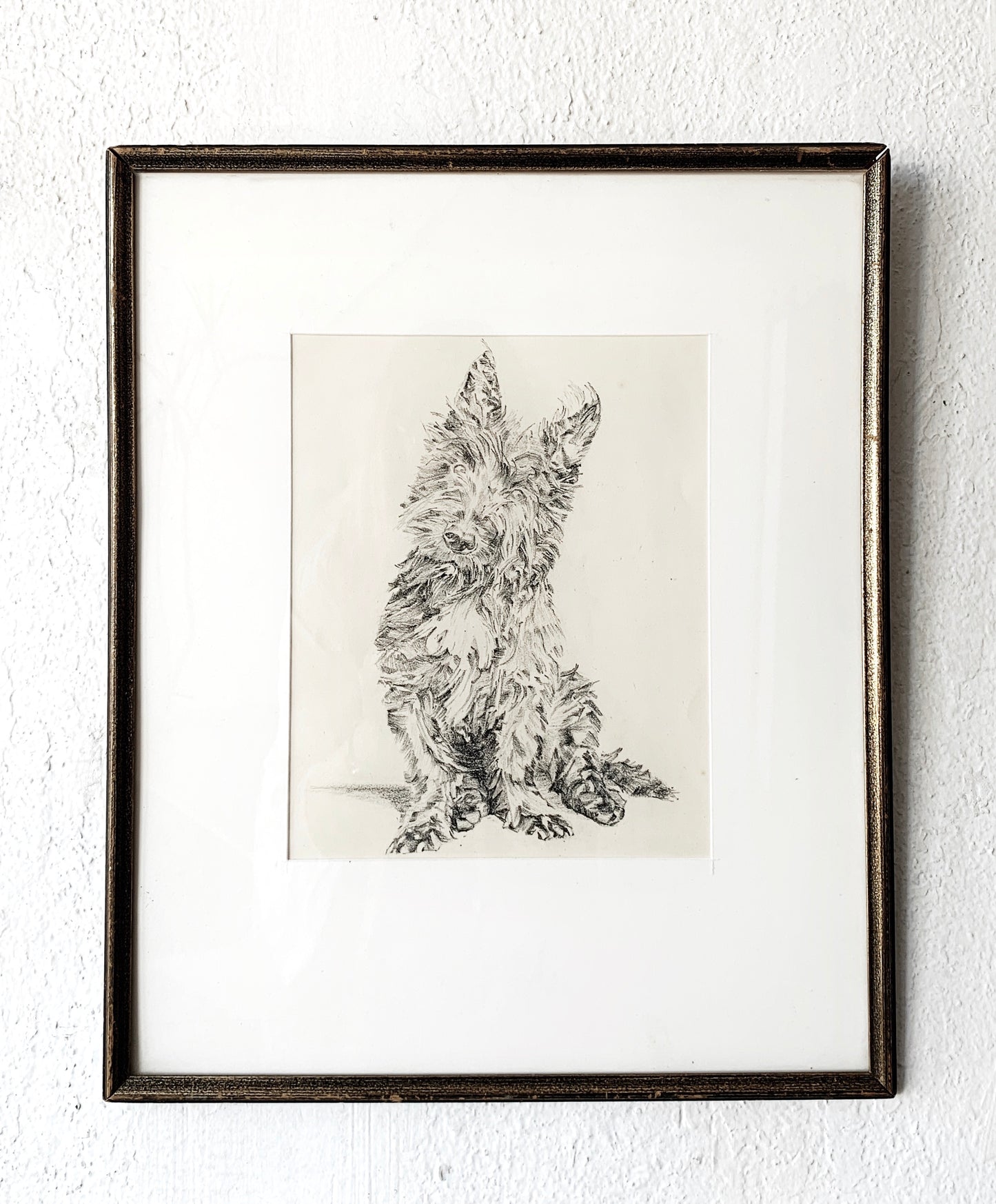 Original Framed Charcoal Sketch / Terrier Portrait