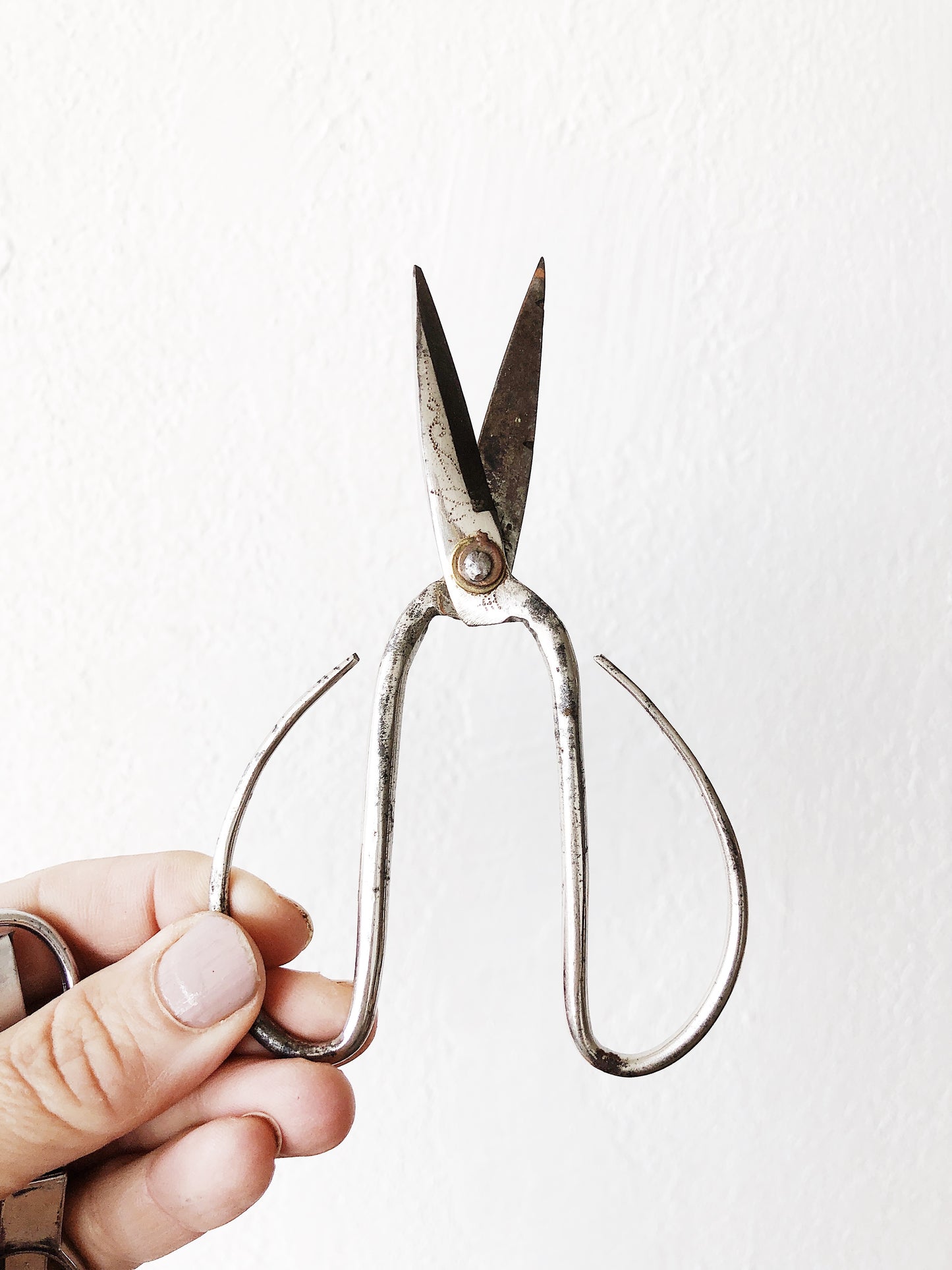 Vintage Scissors
